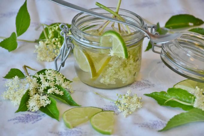 bezovy_sirup_recept