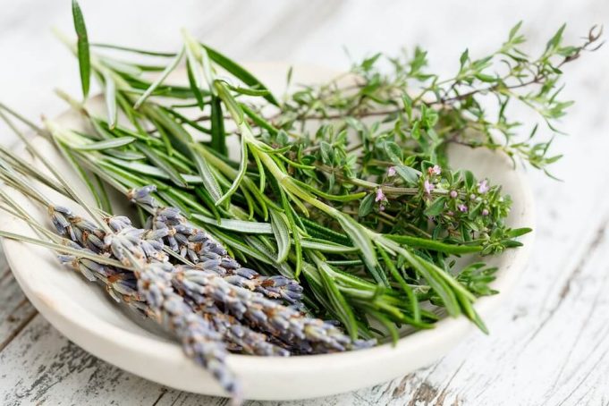 herbs-2523119_960_720