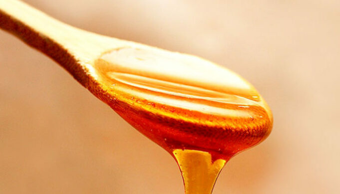 honey-1970592_960_720-696x398