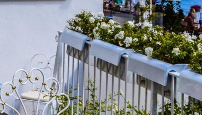 balkon-cvece-750x430
