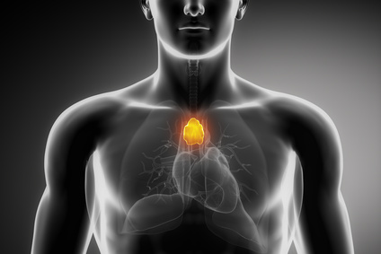 Male anatomy of human organs in x-ray view