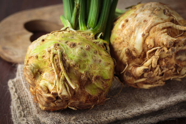Fresh raw celeriac for an healthy nutrition