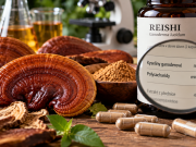 Reishi a kyseliny ganoderové: co prozrazují o složení extraktu a jak je najít na etiketě